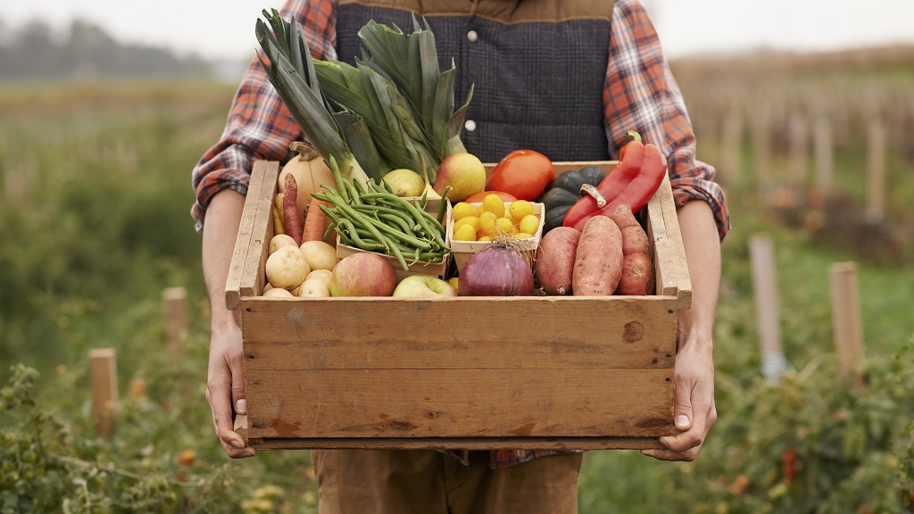 a farmer holding a bountiful box of vegetables