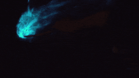 a hand dragging a stick through blue bioluminescence in water, followed by someone's feet stepping into the same